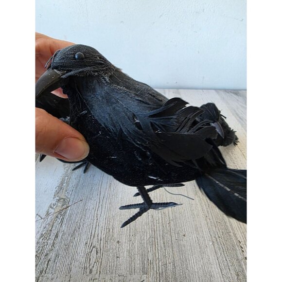 Greenbrier graveyard Crow Bird Halloween realistic prop feather decor - Picture 4 of 11
